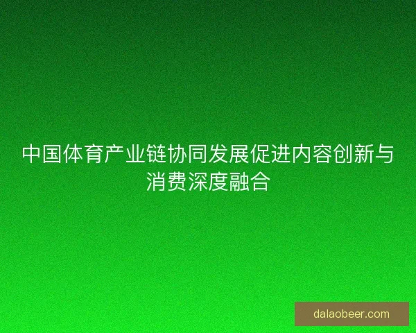 中国体育产业链协同发展促进内容创新与消费深度融合