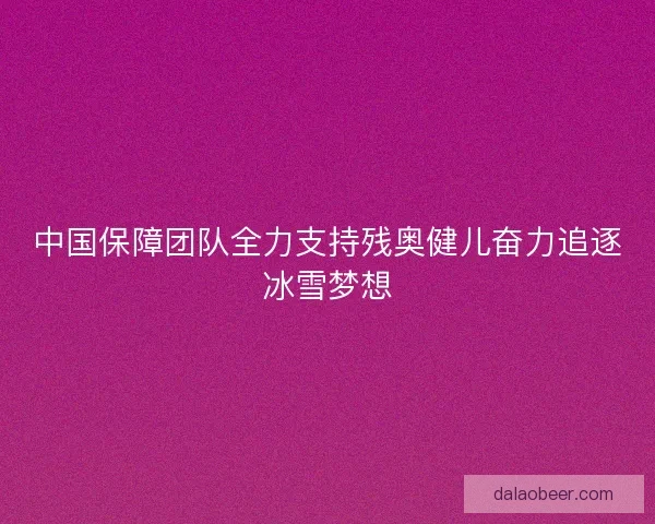 中国保障团队全力支持残奥健儿奋力追逐冰雪梦想 中国保障团队全力支持残奥健儿奋力追逐冰雪梦想